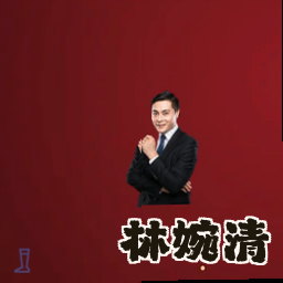林婉清